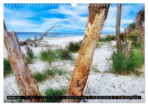 Produktbild: Fischland - Dar&szlig;- Zingst (Wandkalender 2026 DIN A3 quer), CALVENDO Monatskalender