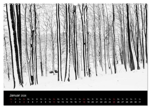 Produktbild: Gesehen auf - R&uuml;gen und Hiddensee (hochwertiger Premium Wandkalender 2026 DIN A2 quer), Kunstdruck in Hochglanz