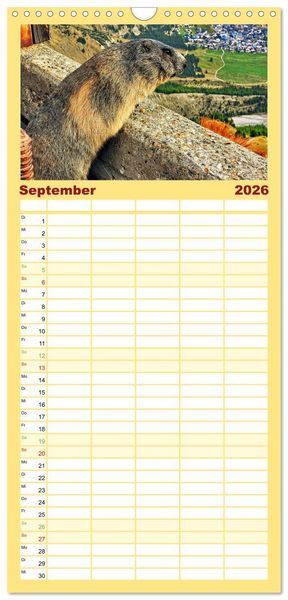 Produktbild: Familienplaner 2026 - Und ewig pfeift das Murmeltier mit 5 Spalten (Wandkalender, 21 x 45 cm) CALVENDO