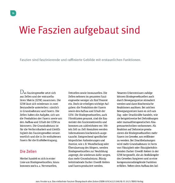 Das einfachste Faszien-Übungsbuch aller Zeiten