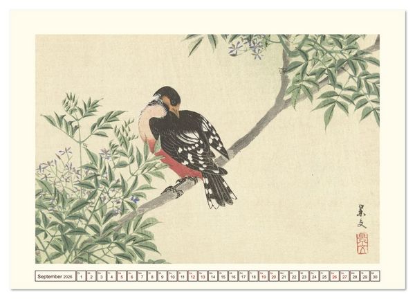 Produktbild: Bl&uuml;te und Feder (Wandkalender 2026 DIN A2 quer), CALVENDO Monatskalender