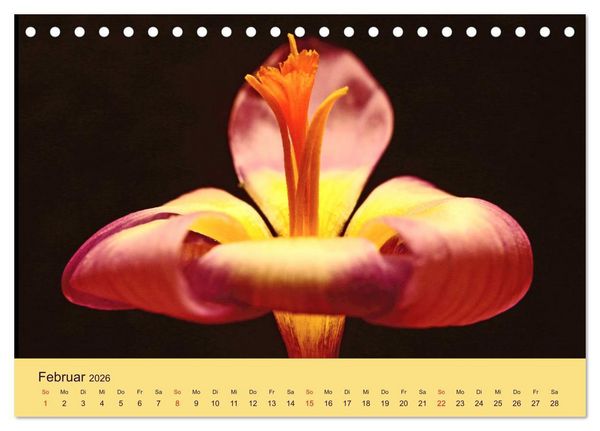 Produktbild: Fantastische Reise in die Welt der Blumen (Tischkalender 2026 DIN A5 quer), CALVENDO Monatskalender