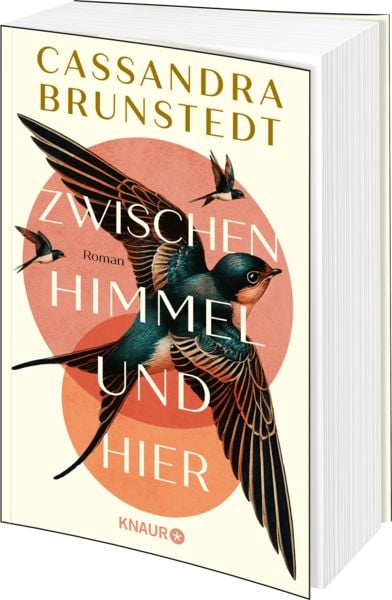 Produktbild: Zwischen Himmel und hier
