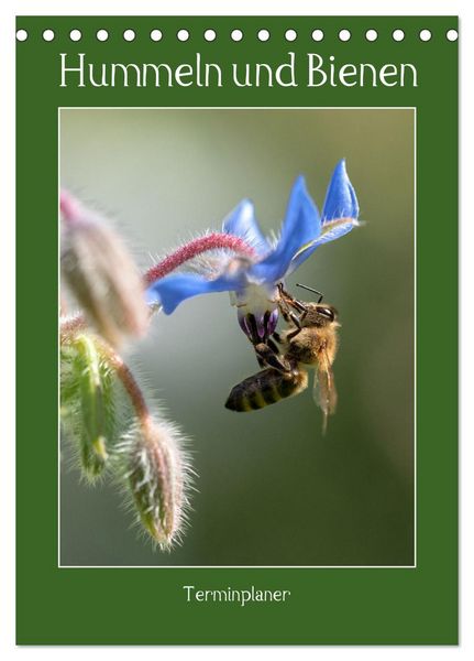 Produktbild: Hummeln und Bienen Terminplaner (Tischkalender 2026 DIN A5 hoch), CALVENDO Monatskalender
