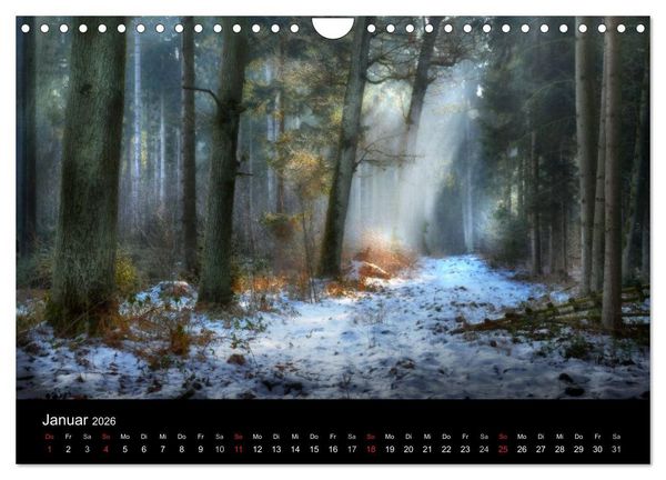 Produktbild: Kanzelkalender 2026 (Wandkalender 2026 DIN A4 quer), CALVENDO Monatskalender