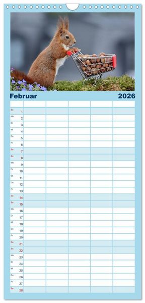 Produktbild: Familienplaner 2026 - Eichh&ouml;rnchen Luna und ihre Kinder mit 5 Spalten (Wandkalender, 21 x 45 cm) CALVENDO