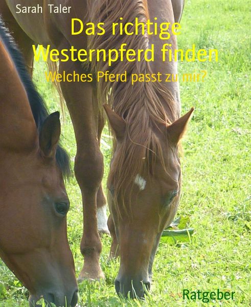 Produktbild: Das richtige Westernpferd finden