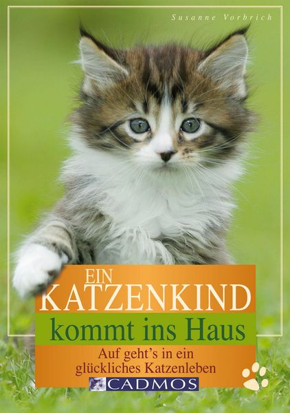 Produktbild: Ein Katzenkind kommt ins Haus