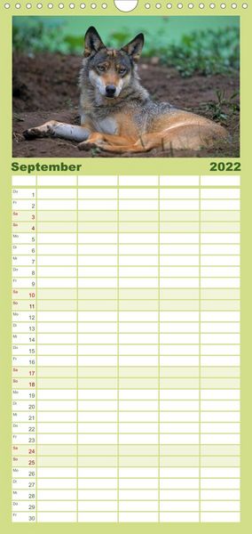 Produktbild: Familienplaner Tiere des Waldes (Wandkalender 2022 , 21 cm x 45 cm, hoch)