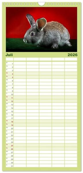 Produktbild: Familienplaner 2026 - Lustige Kaninchen mit 5 Spalten (Wandkalender, 21 x 45 cm) CALVENDO