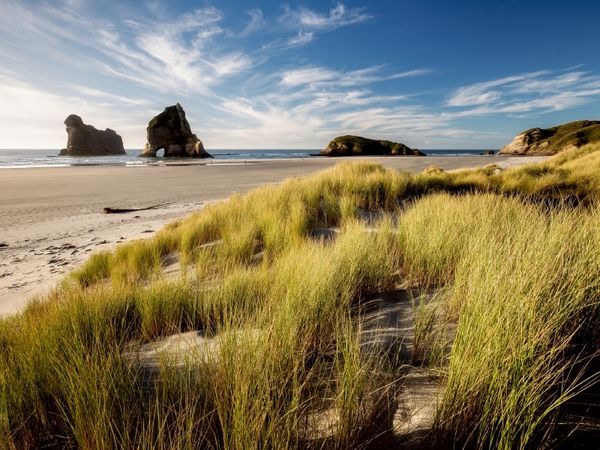 Produktbild: Wharariki Beach - S&uuml;dinsel (Puzzle)