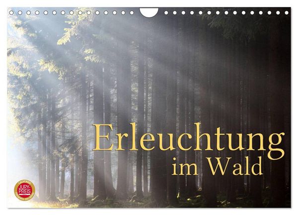 Produktbild: Erleuchtung im Wald (Wandkalender 2026 DIN A4 quer), CALVENDO Monatskalender