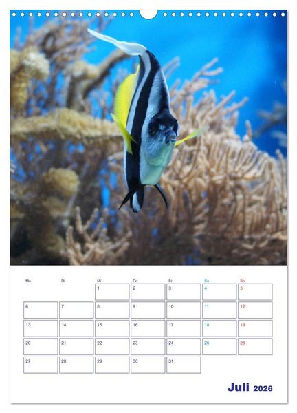 Produktbild: Bunte Meereswelten (Wandkalender 2026 DIN A3 hoch), CALVENDO Monatskalender