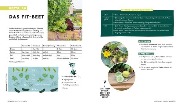 Produktbild: Keine Zeit zu g&auml;rtnern &ndash; Easy Erntegl&uuml;ck im Hochbeet
