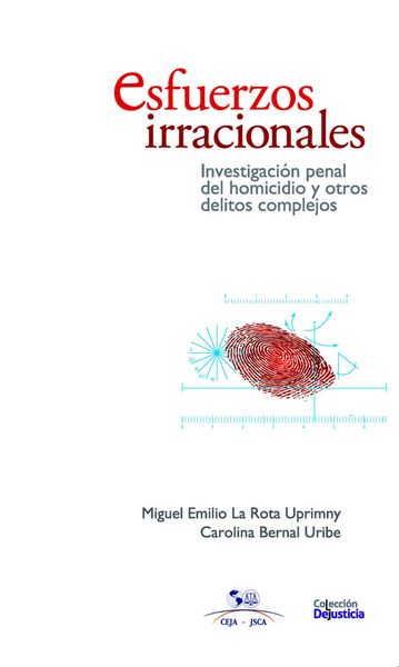 Produktbild: Esfuerzos irracionales