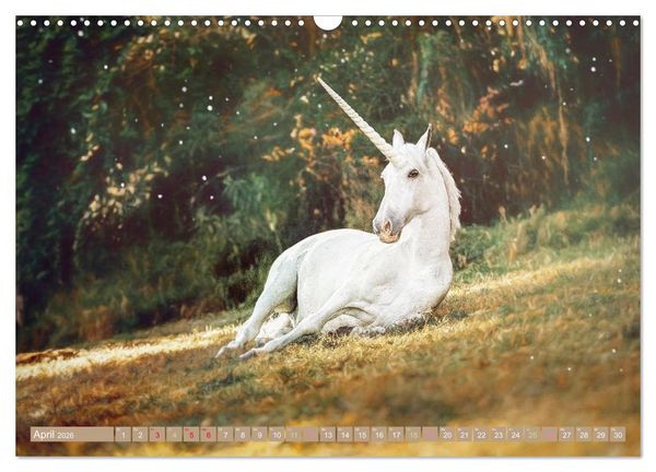 Produktbild: Einhorn Zauber - anmutige Einhornbilder (Wandkalender 2026 DIN A3 quer), CALVENDO Monatskalender