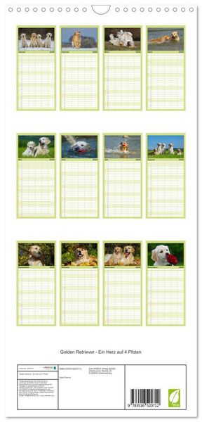 Produktbild: Familienplaner 2026 - Golden Retriever - Ein Herz auf 4 Pfoten mit 5 Spalten (Wandkalender, 21 x 45 cm) CALVENDO