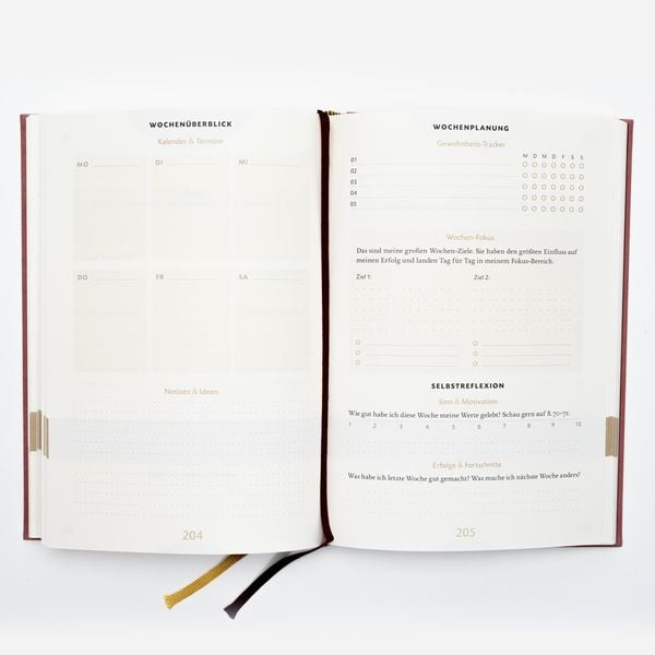 Das 6-Minuten-Erfolgsjournal (mittelblau)