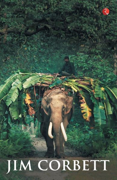 Produktbild: MY INDIA