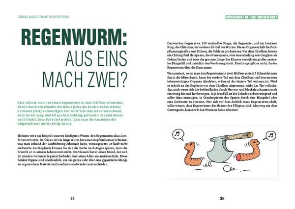 Produktbild: Efeu erw&uuml;rgt Baum