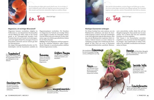 Produktbild: Meine Schwangerschaft