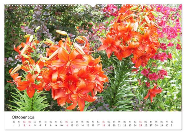 Produktbild: Feurige Lilien (hochwertiger Premium Wandkalender 2026 DIN A2 quer), Kunstdruck in Hochglanz