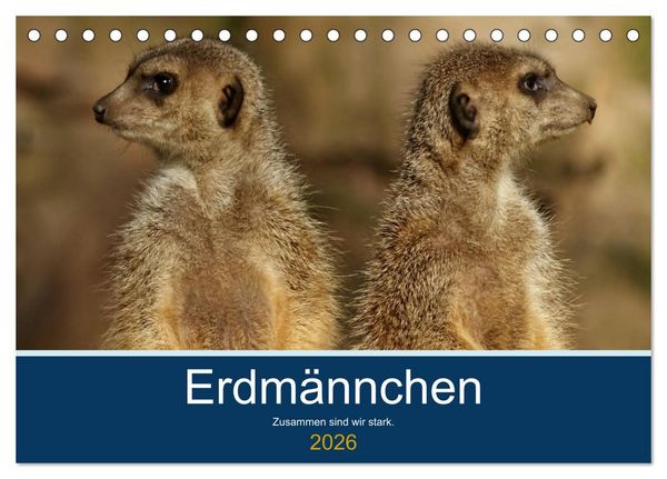 Erdmännchen - Zusammen sind wir stark (Tischkalender 2026 DIN A5 quer), CALVENDO Monatskalender