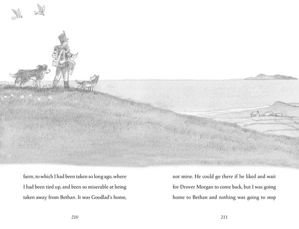 Produktbild: Morpurgo, M: Cobweb