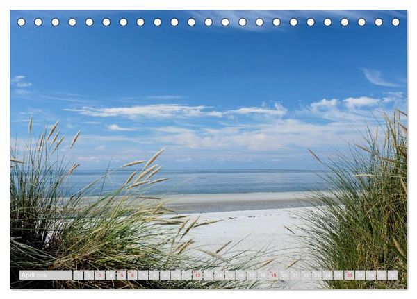 Produktbild: Amrum, die Perle in der Nordsee (Tischkalender 2026 DIN A5 quer), CALVENDO Monatskalender