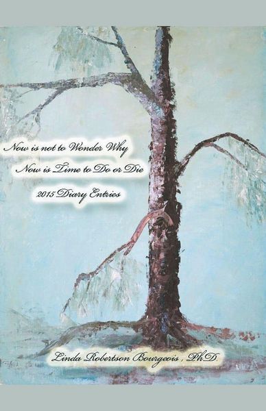 Produktbild: Now is Not to Wonder Why Now is Time to Do or Die 2015 Diary Entries