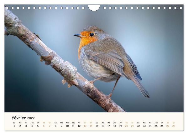 Produktbild: Les murmures de la for&ecirc;t - Regards d'animaux (Calendrier mural 2027 DIN A4 vertical), CALVENDO calendrier mensuel
