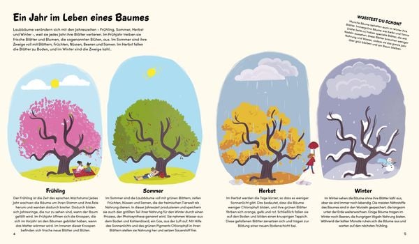 Produktbild: Das kleine Buch der B&auml;ume