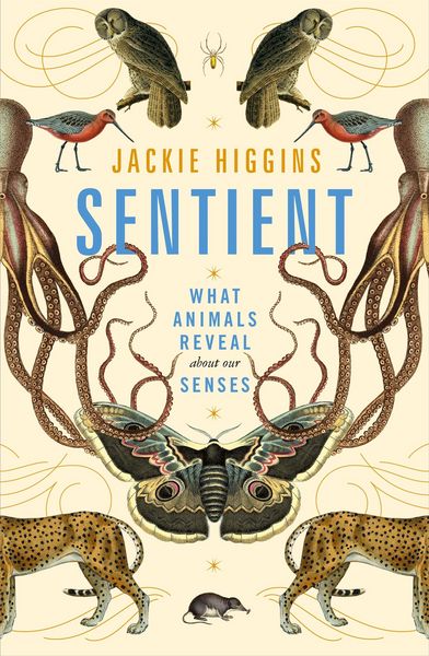 Produktbild: Sentient