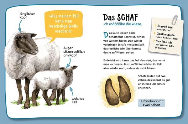 Mein erster Naturführer, Welche Tierspur ist das?