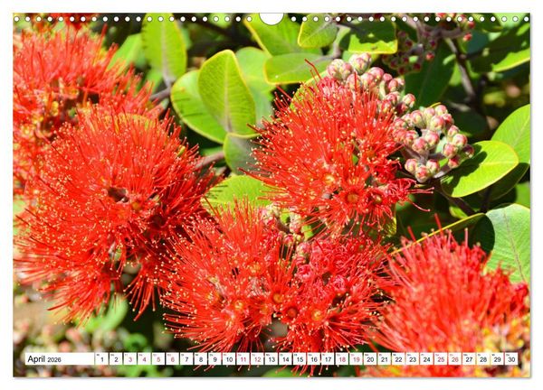 Produktbild: Neuseeland Nordinsel - faszinierende Orte am anderen Ende der Welt (Wandkalender 2026 DIN A3 quer), CALVENDO Monatskalender