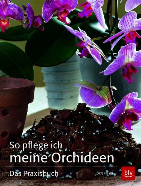 Produktbild: So pflege ich meine Orchideen