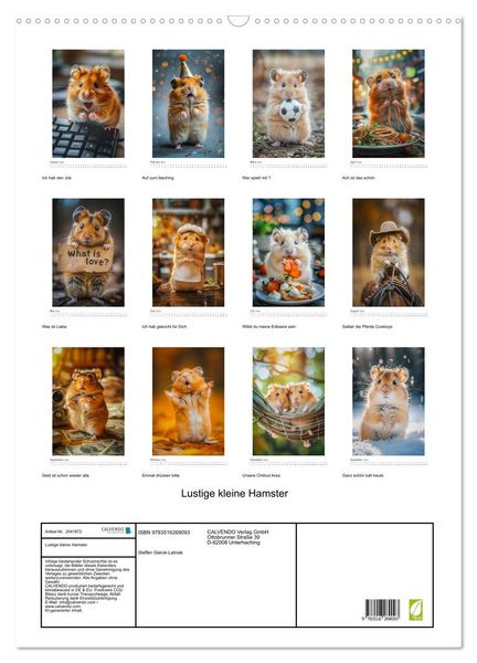 Produktbild: Lustige kleine Hamster (Wandkalender 2026 DIN A2 hoch), CALVENDO Monatskalender
