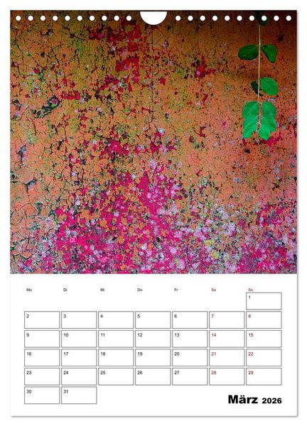 Produktbild: Mauerbl&uuml;mchen - Poesie im Allt&auml;glichen als Monatsplaner (Wandkalender 2026 DIN A4 hoch), CALVENDO Monatskalender