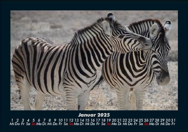 Produktbild: Zebrazauber 2025 Fotokalender DIN A5