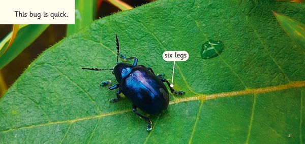Produktbild: Buzz, Hop, Zip!