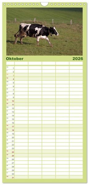 Produktbild: Familienplaner 2026 - Muuuhhh! mit 5 Spalten (Wandkalender, 21 x 45 cm) CALVENDO