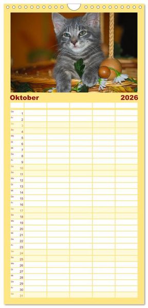 Produktbild: Familienplaner 2026 - Die Launen der Katzen 2026 mit 5 Spalten (Wandkalender, 21 x 45 cm) CALVENDO