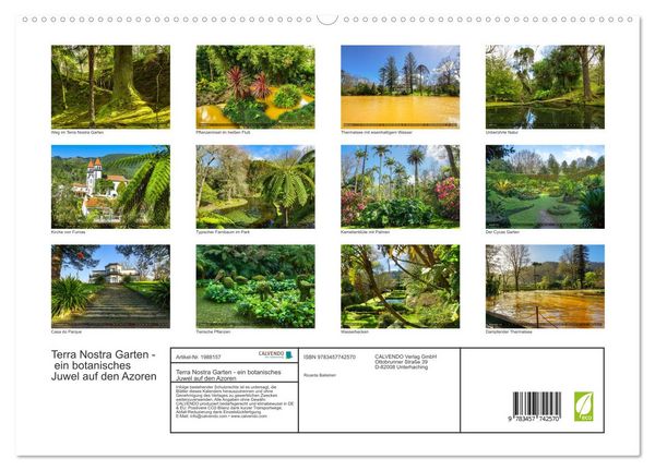 Produktbild: Terra Nostra Garten - ein botanisches Juwel auf den Azoren (hochwertiger Premium Wandkalender 2026 DIN A2 quer), Kunstdruck in Hochglanz
