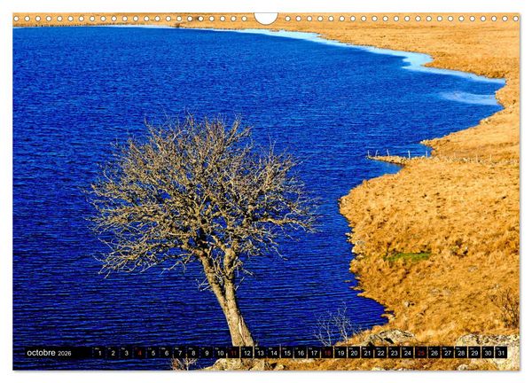 Produktbild: Collection Terre AUBRAC (Calendrier mural 2026 DIN A3 vertical), CALVENDO calendrier mensuel
