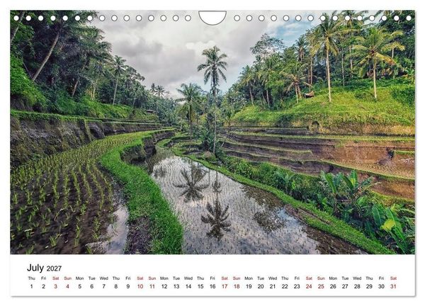 Produktbild: Tropical Vibes (Wall Calendar 2027 DIN A4 landscape), CALVENDO 12 Month Wall Calendar