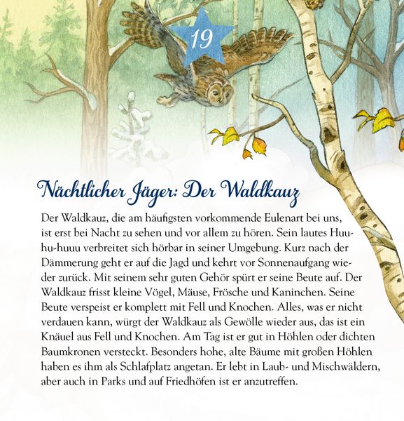Produktbild: Die Tiere im Winterwald und ..., Zettel-Adventskalender
