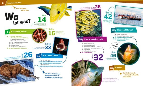 Produktbild: WAS IST WAS Band 41 Fische. Wunderwelt im Wasser