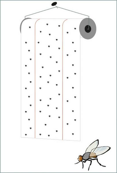 Produktbild: Redtop Fliegenrolle 31006 Fliegenfalle Klebefolie, Lockstoff (L x B) 9 m x 0.3 m Gelb 1 St.