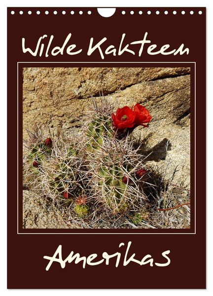 Produktbild: Wilde Kakteen Amerikas (Wandkalender 2026 DIN A4 hoch), CALVENDO Monatskalender