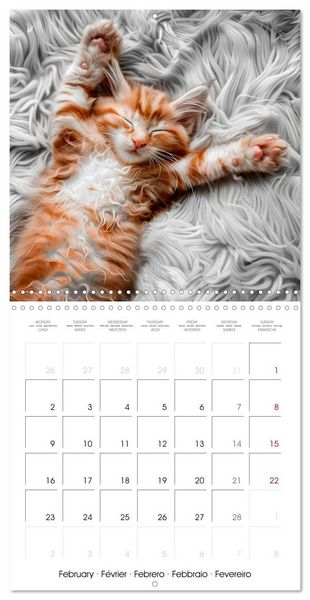 Produktbild: KITTEN Cuteness overload (Wall Calendar 2026 12 &times; 12 Inch) CALVENDO 12 Month Wall Calendar